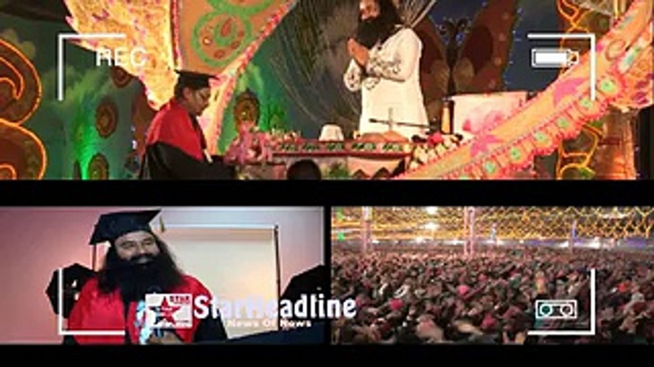 sacha sauda