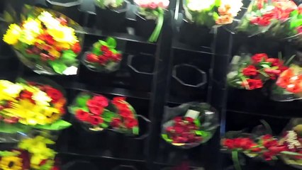 CRAZY SNOW SURPRISE!!