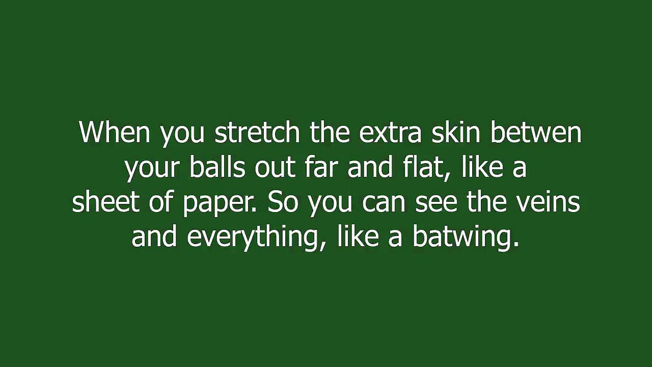 batwing meaning and pronunciation