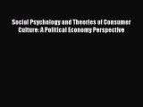 PDF Download Social Psychology and Theories of Consumer Culture: A Political Economy Perspective