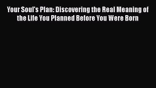 Your Soul's Plan: Discovering the Real Meaning of the Life You Planned Before You Were Born