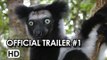 Island of Lemurs: Madagascar Official Trailer #1 (2014) - Nature Documentary HD