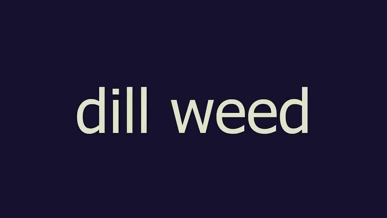 dill weed meaning and pronunciation