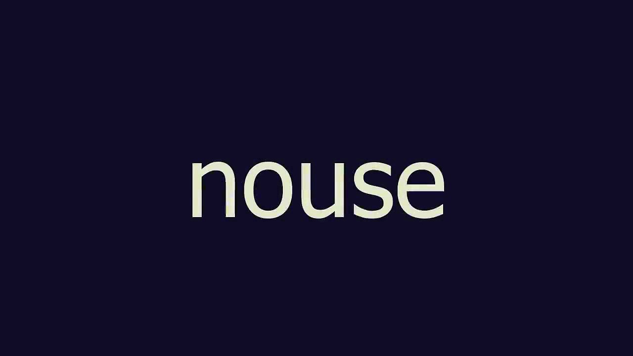 nouse meaning and pronunciation