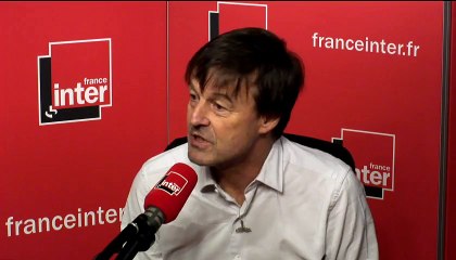 Nicolas Hulot : "Je ne suis pas certain d'avoir le profil idéal pour être ministre"