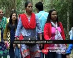 Christmas New Year celebration , Thekkady tourist rate decreases in this year