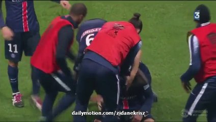 PSG 2-0 Toulouse 27.01.2016 All Goals HD