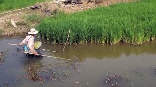 Fishing with Electricity in Vietnam WTF