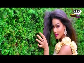 Dilan Diya Mehrma - Prince Arib. Yo Yo Mazhar, Full Pakistani Vision 2016