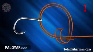 Top 9 Fishing Knot