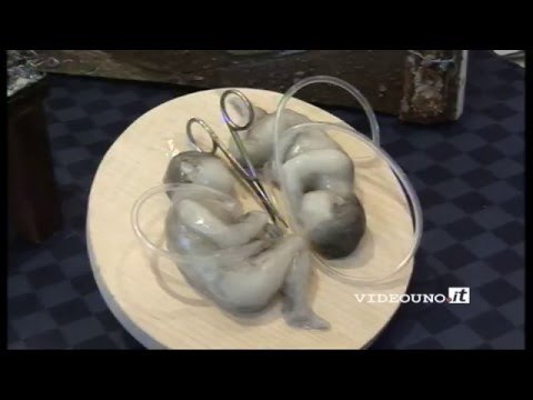 Matera: Giornata della memoria