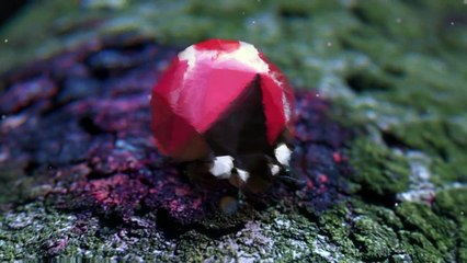 Et si les publicités Coca Cola envahissaient même nos rêves !?