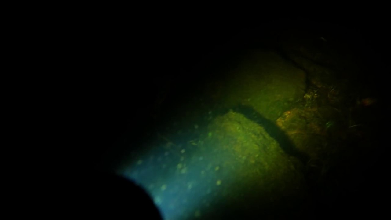 Dernier plongeon - Court-métrage d'horreur le plus flippant