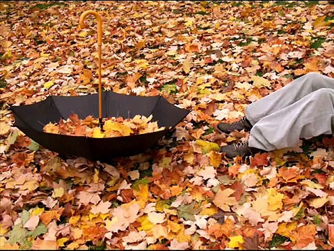 Seslibirnaz oğuz boran seni çok seviyorum