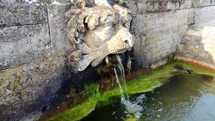 Nikon Coolpix P510 Video