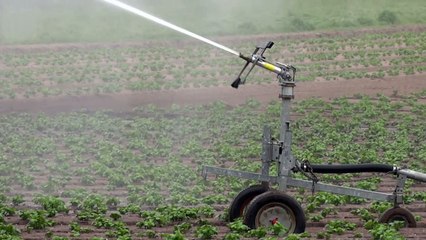 Sony Cybershot HX9v Full HD Sample Video