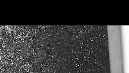 $UICIDEBOY$ - ANTARCTICA