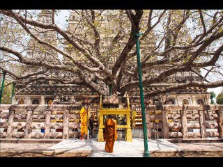 Special 6 - Buddhism Pilgrimage Places Where You Should Go For Tour