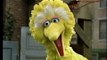 Classic Sesame Street Big Bird The Grouch