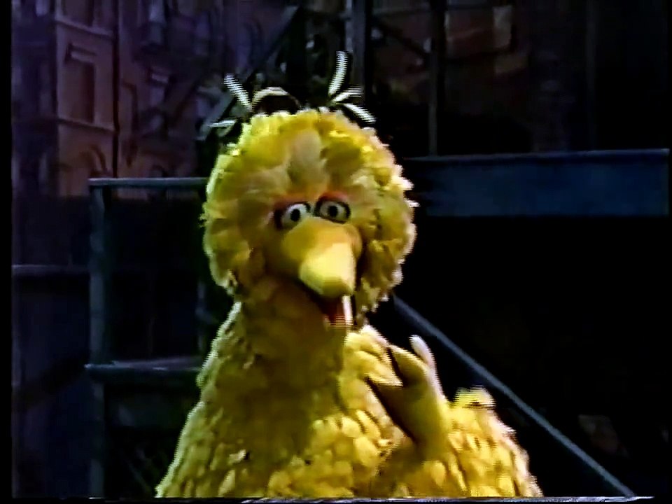 Sesame Street Big Bird Causes Accidents