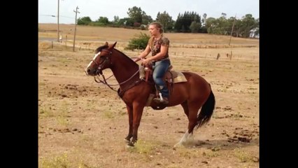 How To Get Thrown Off A Horse In 6 Seconds