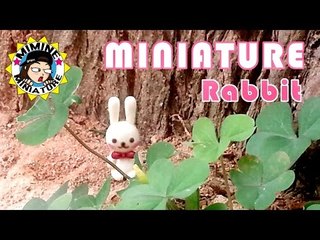 미니어쳐 토끼 만들기 Miniature - Rabbit