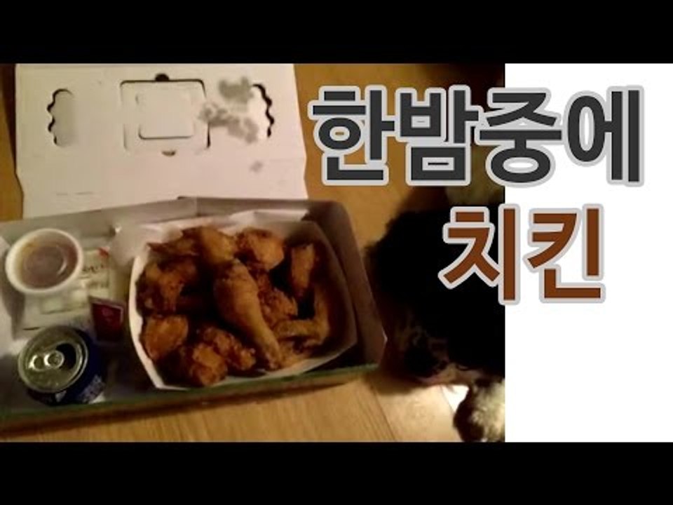 사이다님 치킨 사줄게요 우쮸쮸