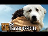 Belle et Sebastien, l'aventure continue Teaser officiel (2015) - Félix Bossuet HD