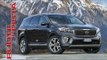 Nuova Kia Sorento Test Drive | Alfonso Rizzo prova | Esclusiva Ruote in Pista