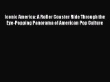 [PDF Download] Iconic America: A Roller Coaster Ride Through the Eye-Popping Panorama of American