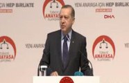 Erdoğan: Seçilmiş başbakan ve seçilmiş Cumhurbaşkanı ile bu süreç yürümez