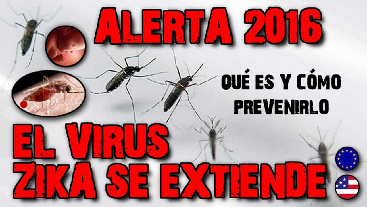 OMS AMENAZA REAL A NIVEL MUNDIAL Detectan VIRUS ZIKA Detectado Dinamarca Europa America Latina se extiende por America Latina EEUU Sudamerica Centroamerica Riesgo Embarazo Microcefalia Bebe microcephaly Malformaciones Brasil Infectados Infection Infected