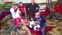 Видео с маленькими боксерами покоряет Казнет