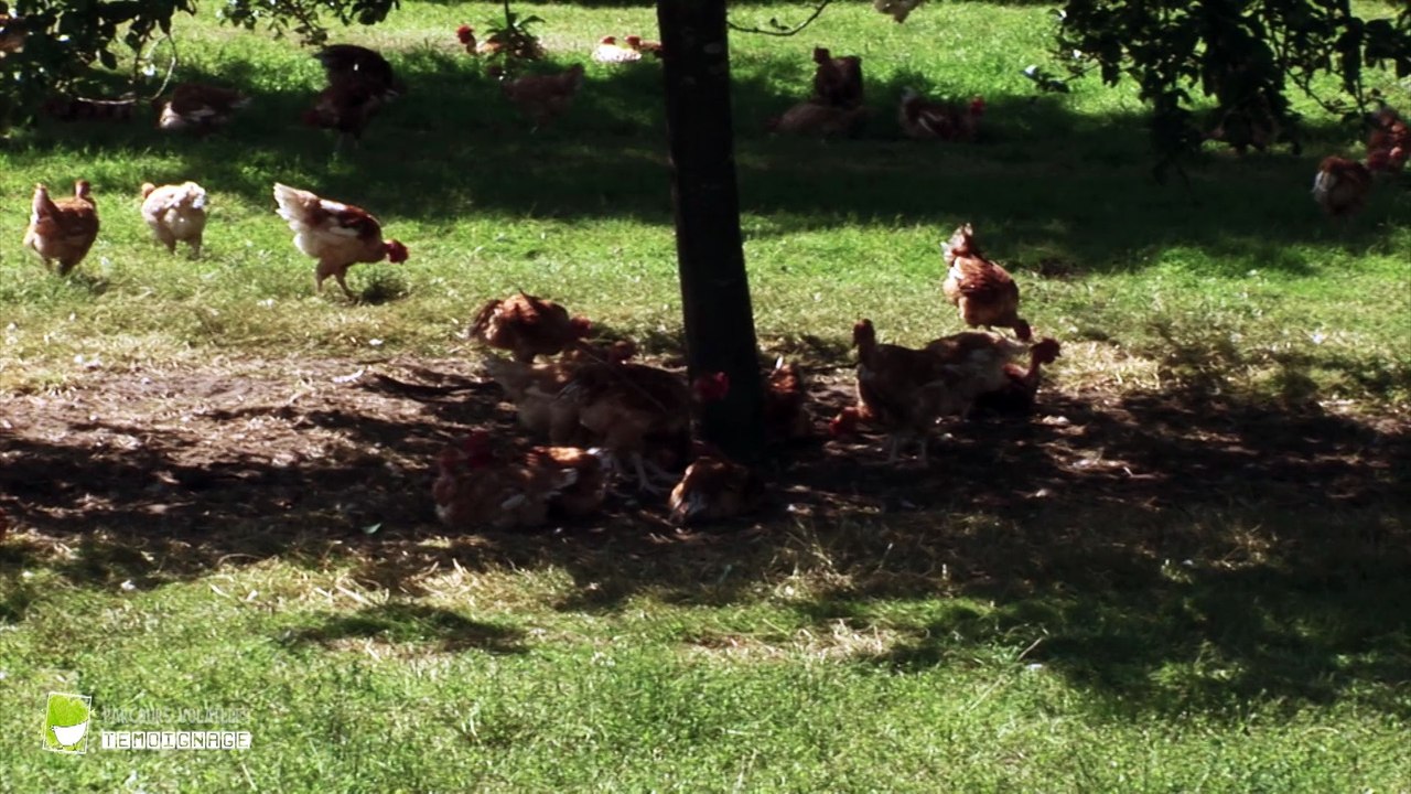 Rencontre avec Vincent BLAGNY - éleveur de volailles