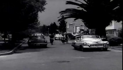 Los paquetes de Paquita pelicula completa