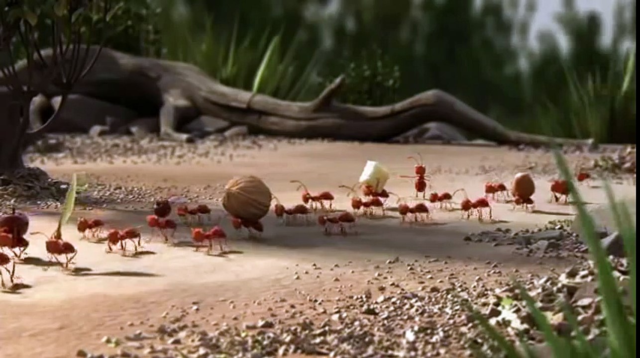 dessin-anime-enfant-drole-le-travail-dequipe-ya-que-sa-de-vrai