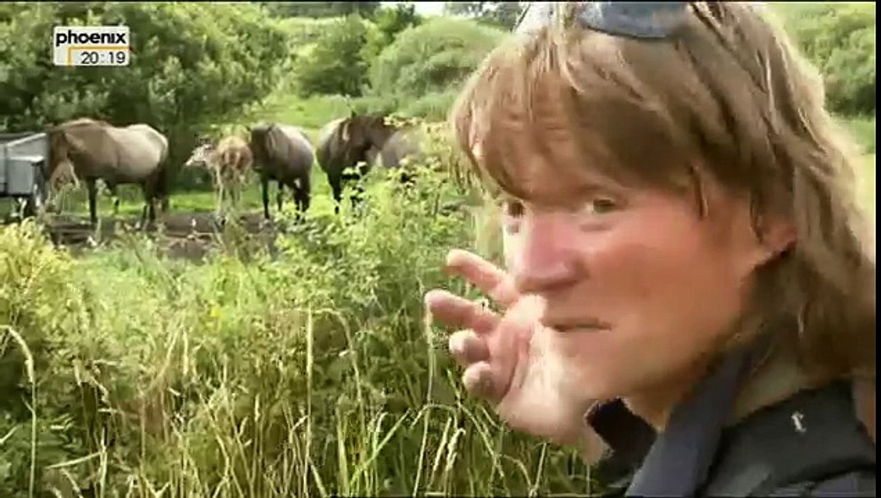 [Doku] Andreas Kieling: Mitten im wilden Deutschland (5/5) Von der Elbe an die Ostsee (HD)