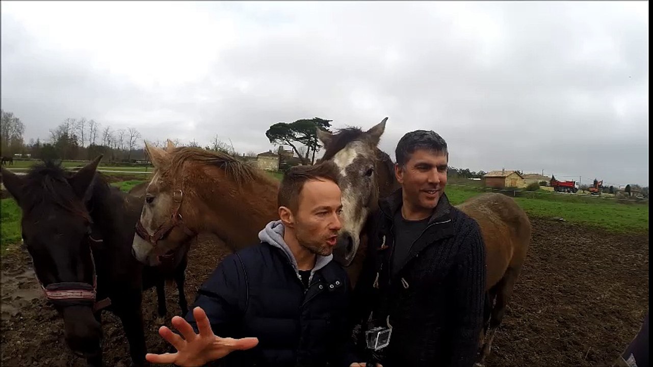 Sur les routes de Gironde, à l'élevage du fleuve à Ambarès-et-Lagrave