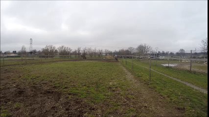 Sur les routes de Gironde, à l'élevage du fleuve à Ambarès-et-Lagrave