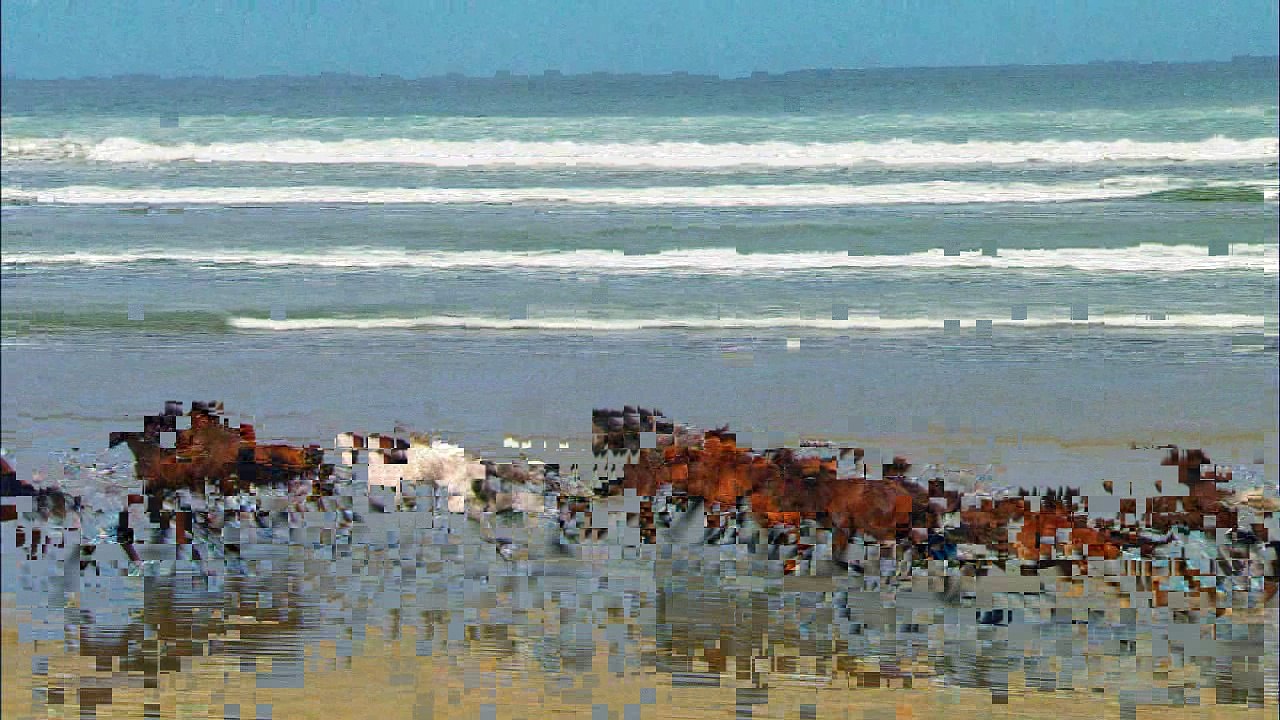 Wildlife, la vie sauvage 4!