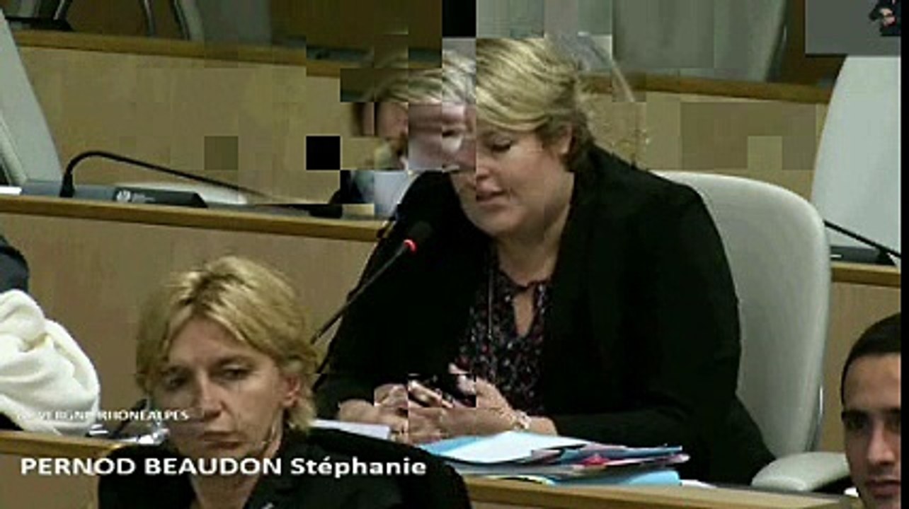 AP 28 janvier 2016 • Explication de Stéphanie PERNOD BEAUDON sur la politique de l'emploi de l'État (vœu du groupe P.S.)