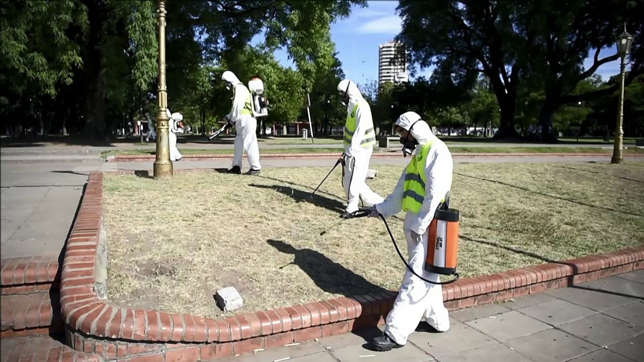 Buenos Aires fumigates to prevent spread of zica virus
