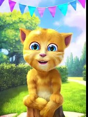 Happy Birthday Song By Talking Ginger 2