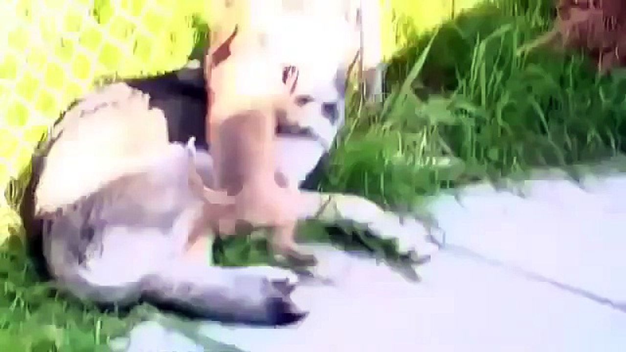 Starving Secrets Bailey/Annalisa (Full Documentary)