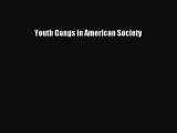 Youth Gangs in American Society  Free Books