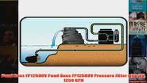 BEST  Pond Boss FP1250UV Pond Boss FP1250UV Pressure Filter with UV 1250 GPH REVIEW