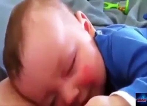 Trop choux ces bébés...