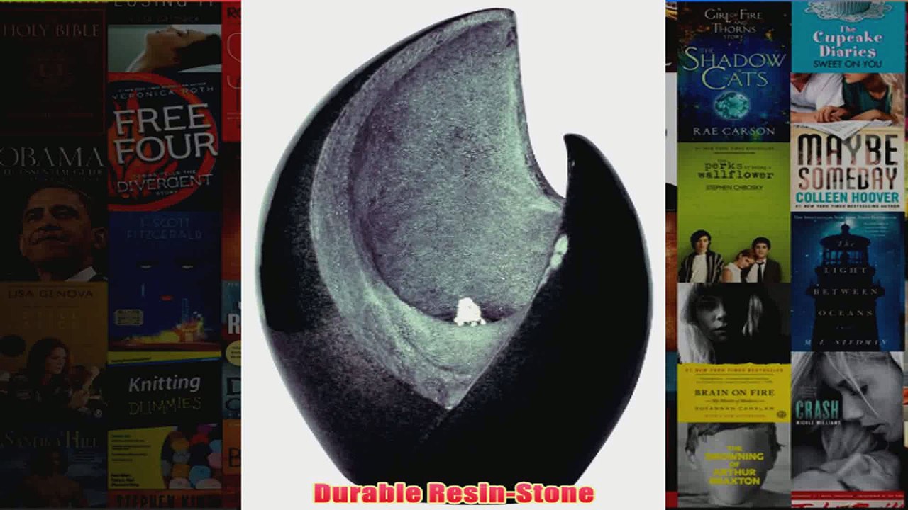 BEST  Kelkay F4746L Vision Fountain Including LED Discontinued by Manufacturer REVIEW