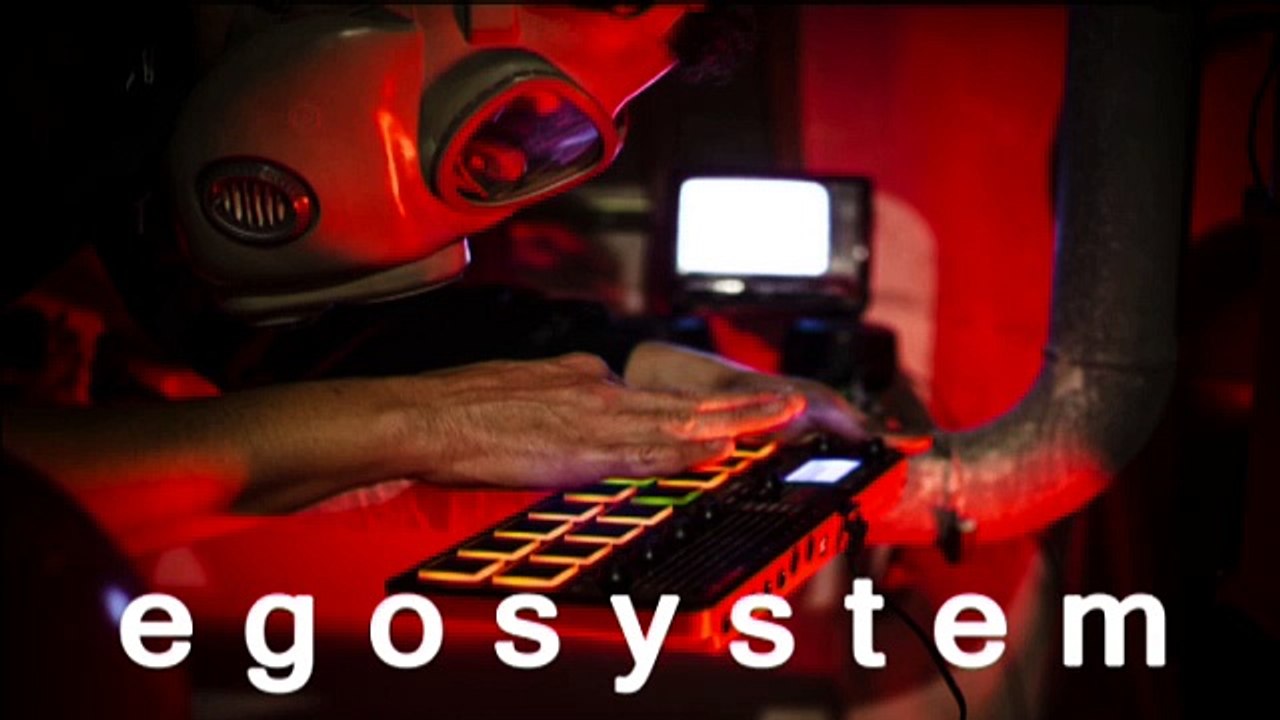 EGOSYSTEM: "Aberratio mentalis partialis"