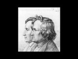 Chata w lesie - Jacob i Wilhelm Grimm  ( audiobook pl )